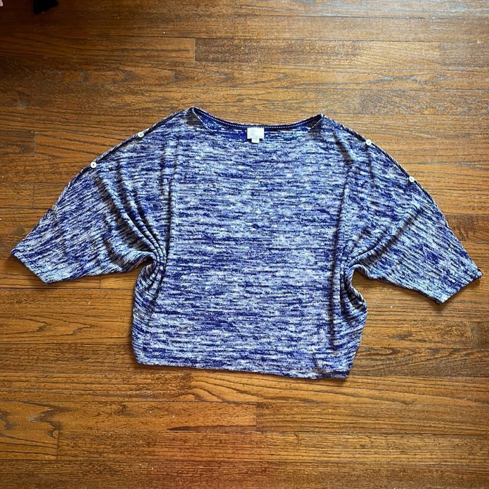 Anthropologie Postage Stamp Blue & White Knit Malu Dolman Sweater